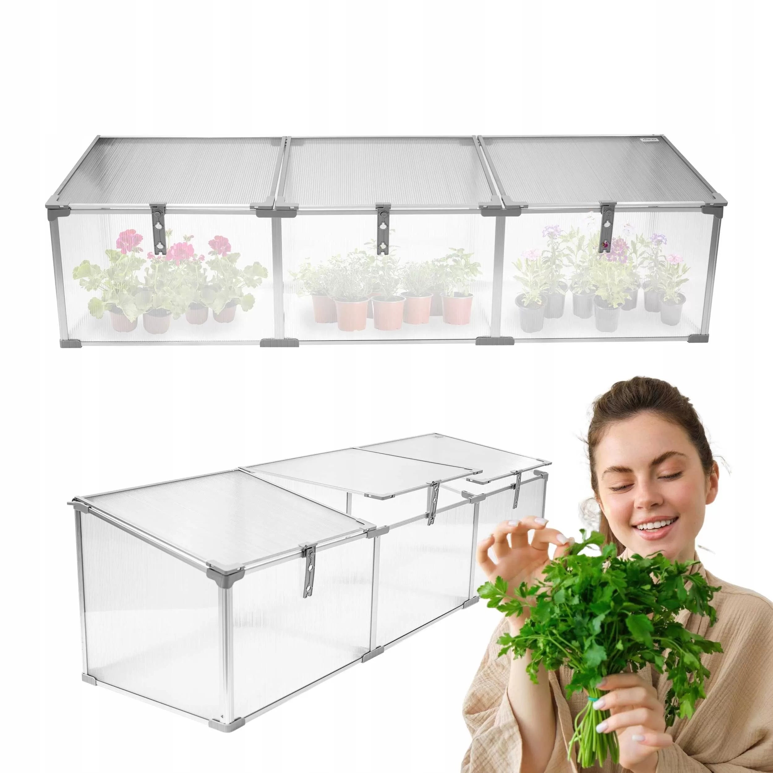 MINI GREENHOUSE 180 CM POLYCARBONATE SEEDLING INSPECTION 3 CHAMBERS Magnolia III