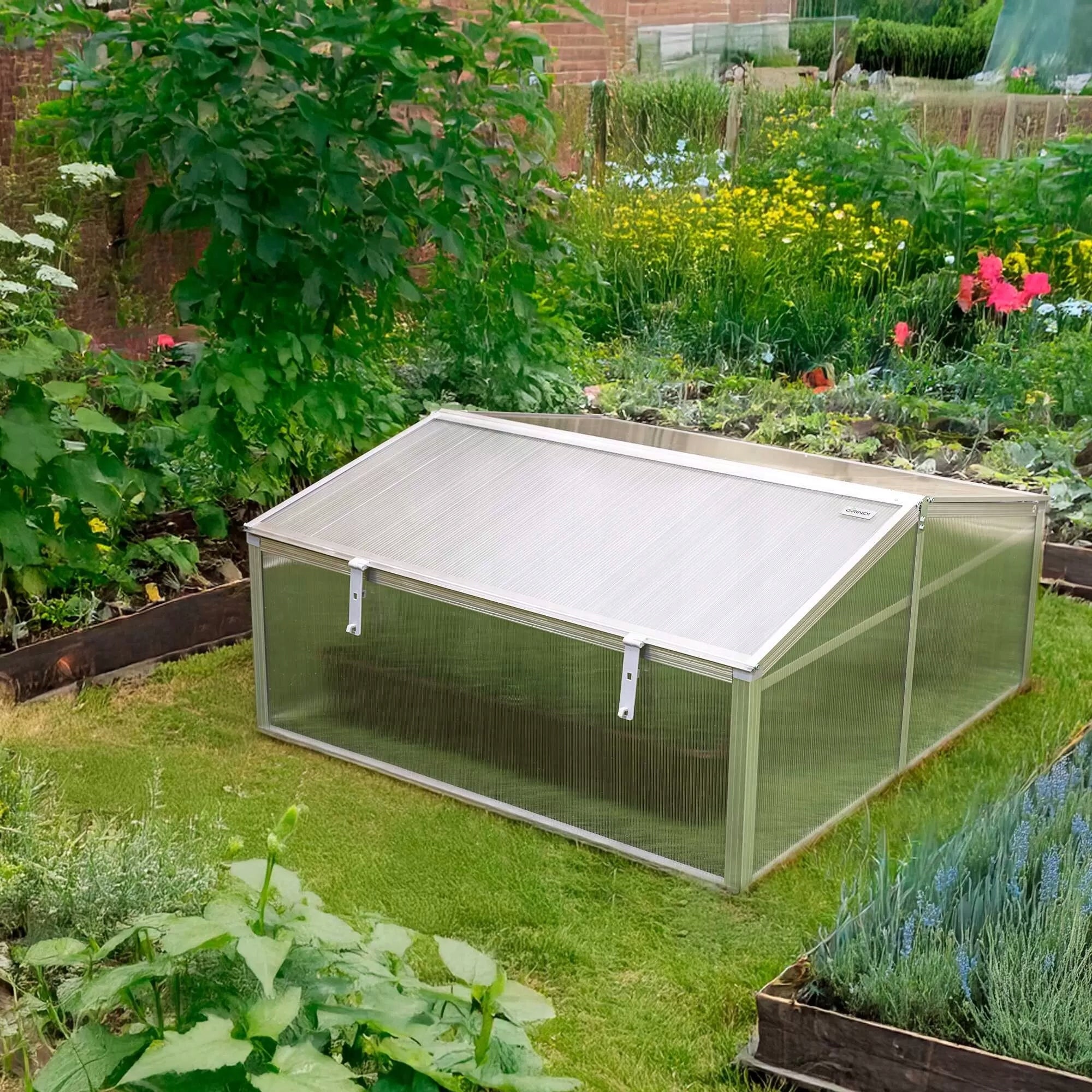 MINI GREENHOUSE INSPECTION SEEDLING 100CM POLYCARBONATE DOUBLE-SIDED MAGNOLIA IV Width 100 m