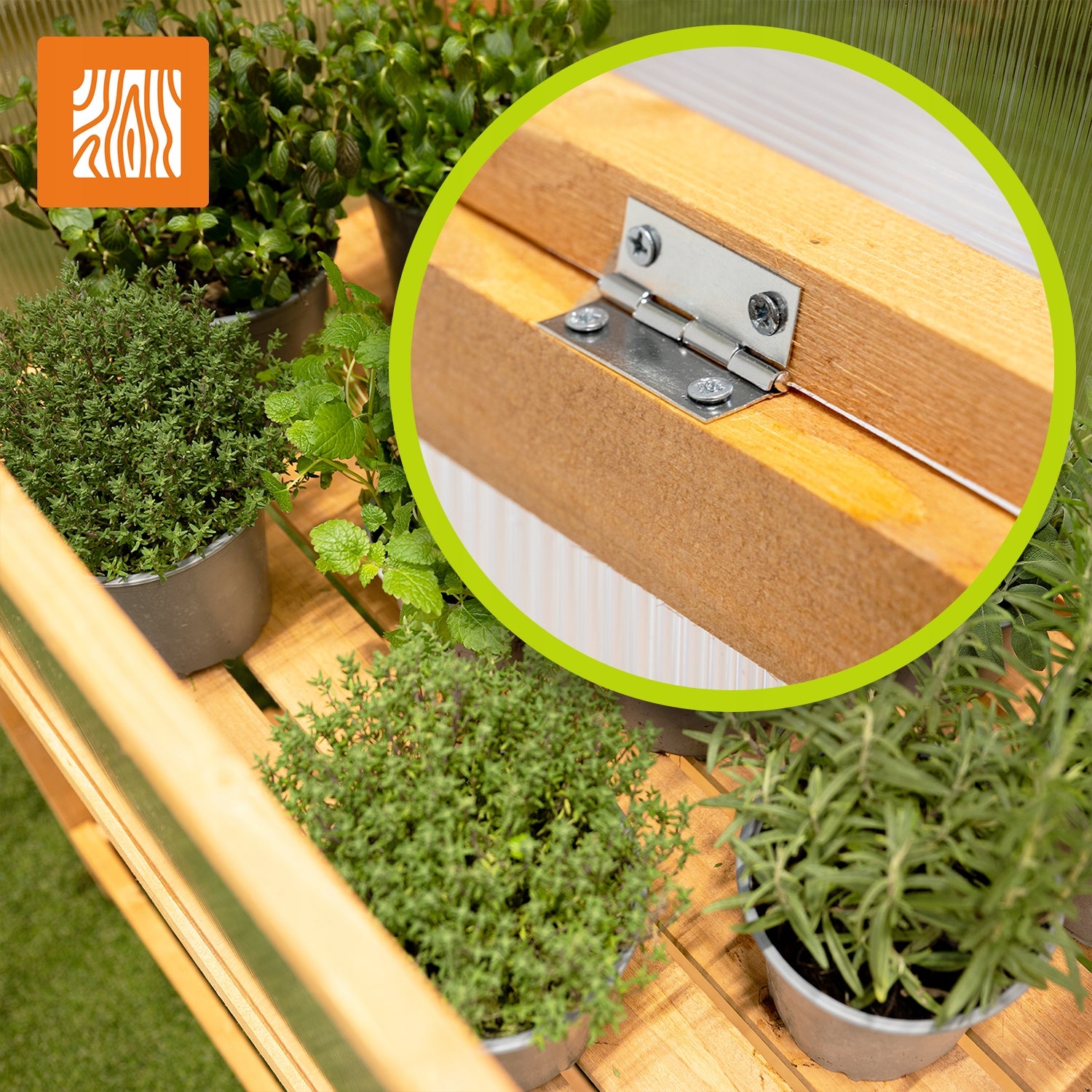 MINI GREENHOUSE WOODEN 90x50x93 FOR TERRACE BALCONY INSPECTION HERBARIUM - Abelia Product height 93 cm