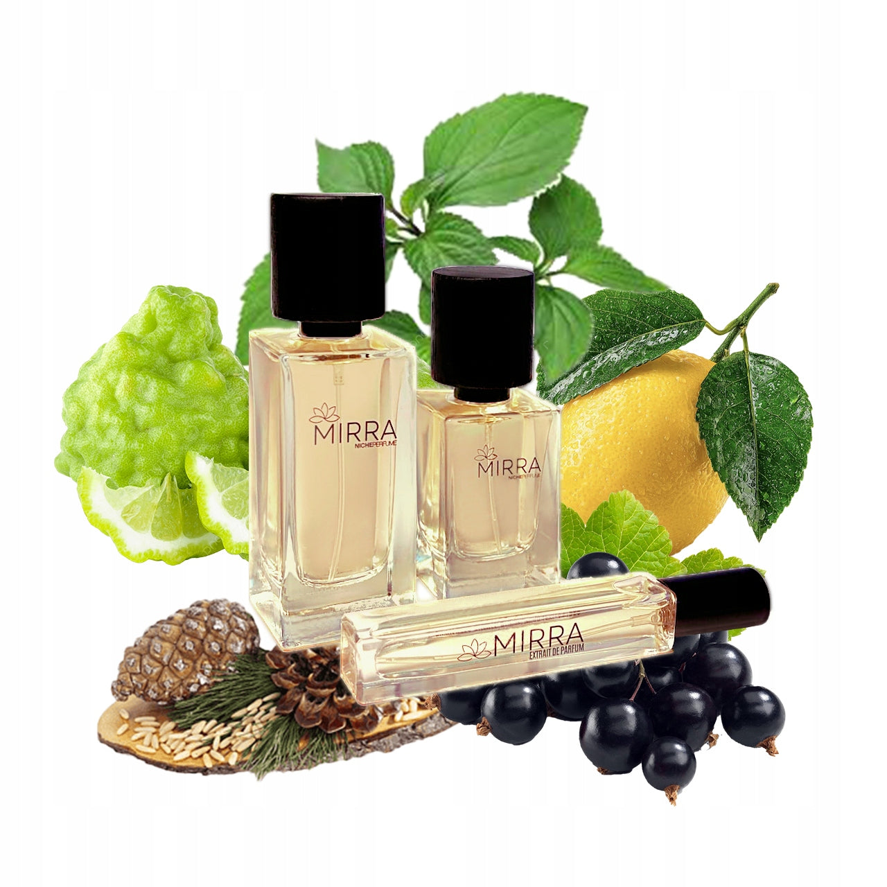 MIRRA Perfumes 411 Cedrat Boise Extrait de Parfum 10ml