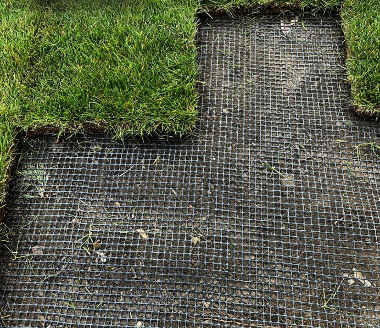 MOLE NET 2x50m AGAINST MOLES UNDER LAWN STRONG DENSE UV+ POLAND Use Against moles