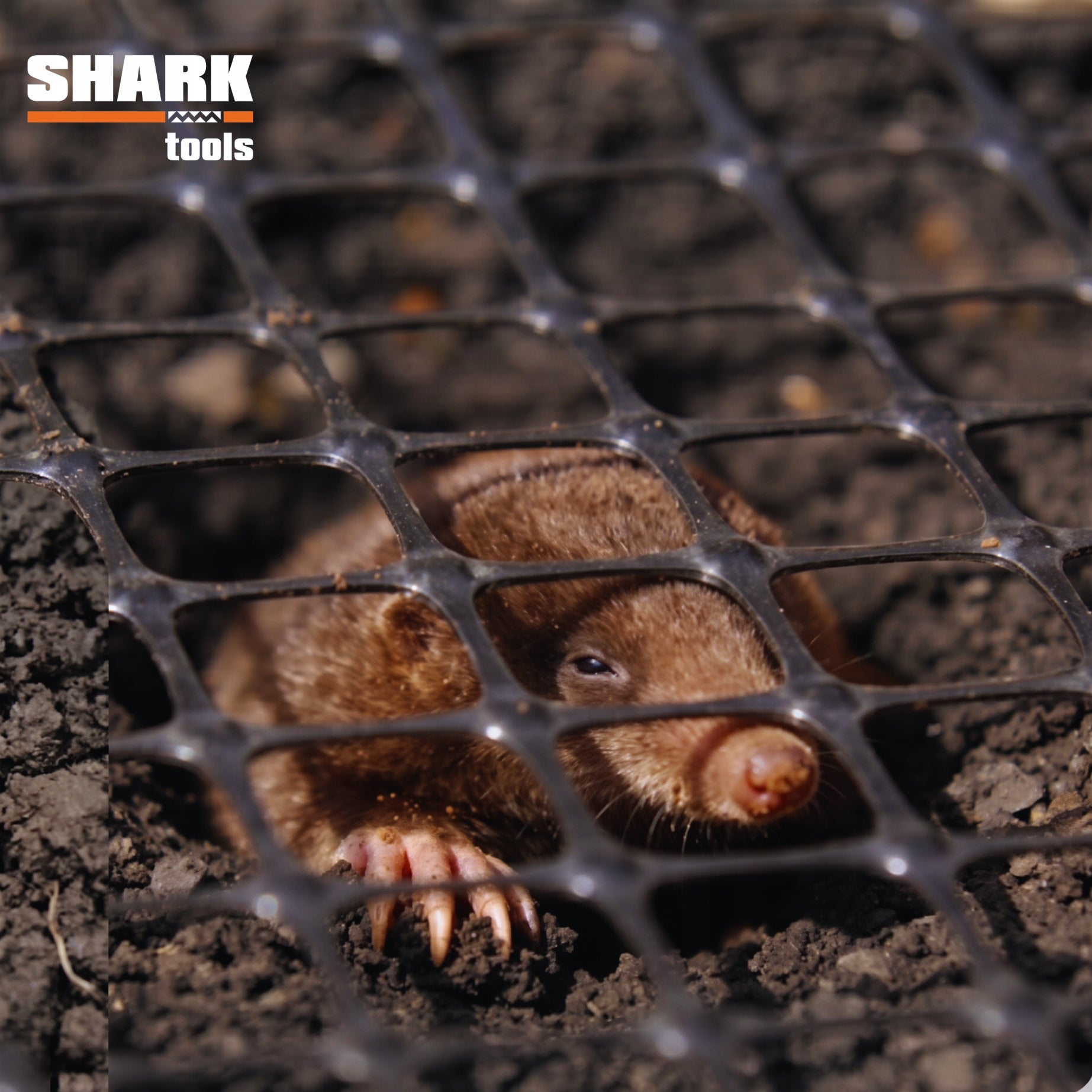 MOLE NET AGAINST MOLES 2x200m 40g PRO REINFORCED STRONG UNDER THE lawn Net length 200 m