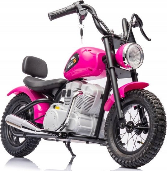 MOTOR FOR TWO-WHEEL BATTERY PUMPED WHEELS POWER 350W Brand no brand