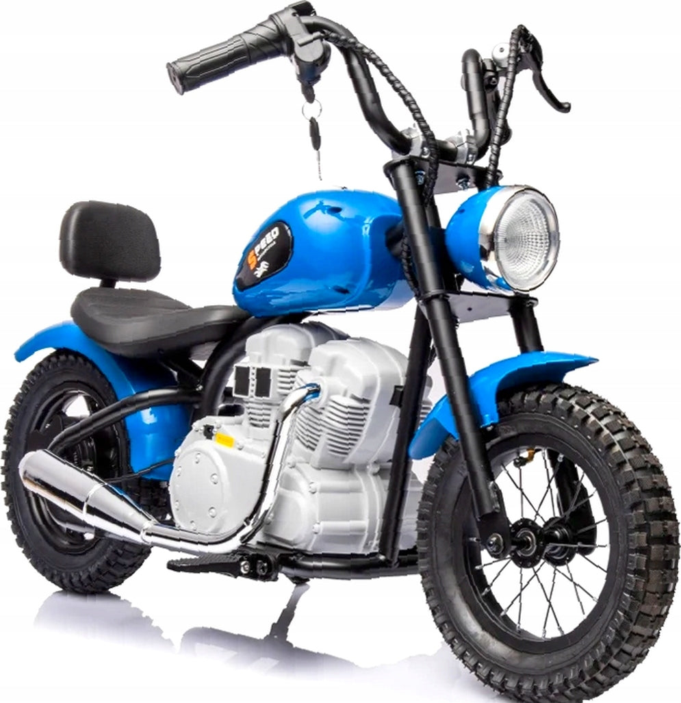MOTOR ON PUMPED WHEELS BATTERY 24V POWER 250W EAN (GTIN) 5901130723621