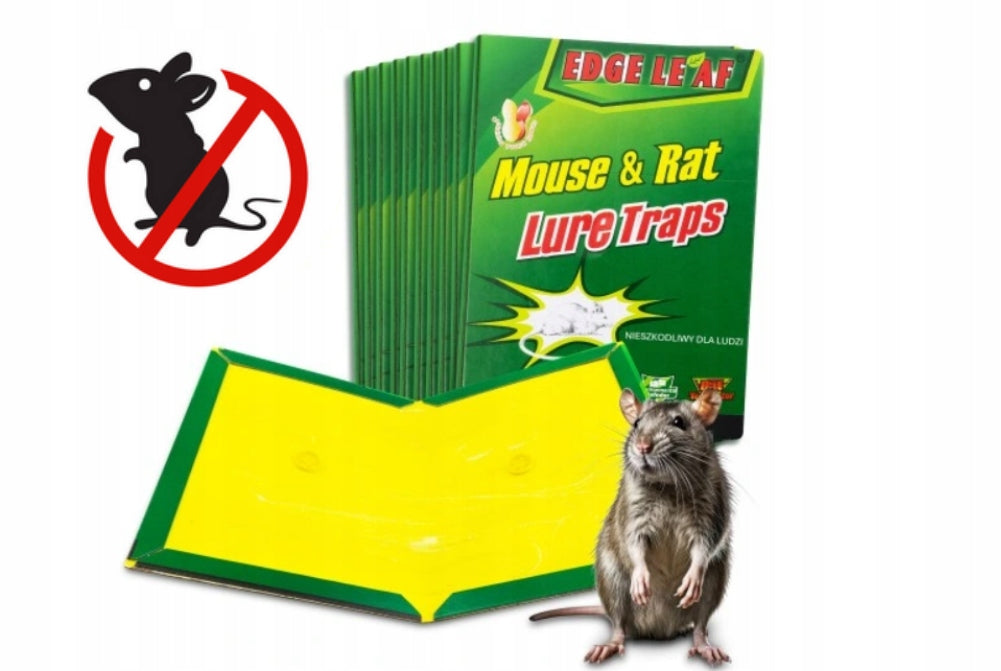 MOUSE STICK RAT TRAP 40x MOUSE PAW STRONG ADHESIVE AROMA Manufacturer code MOCNY LEP NA SZCZURY MYSZY 40X