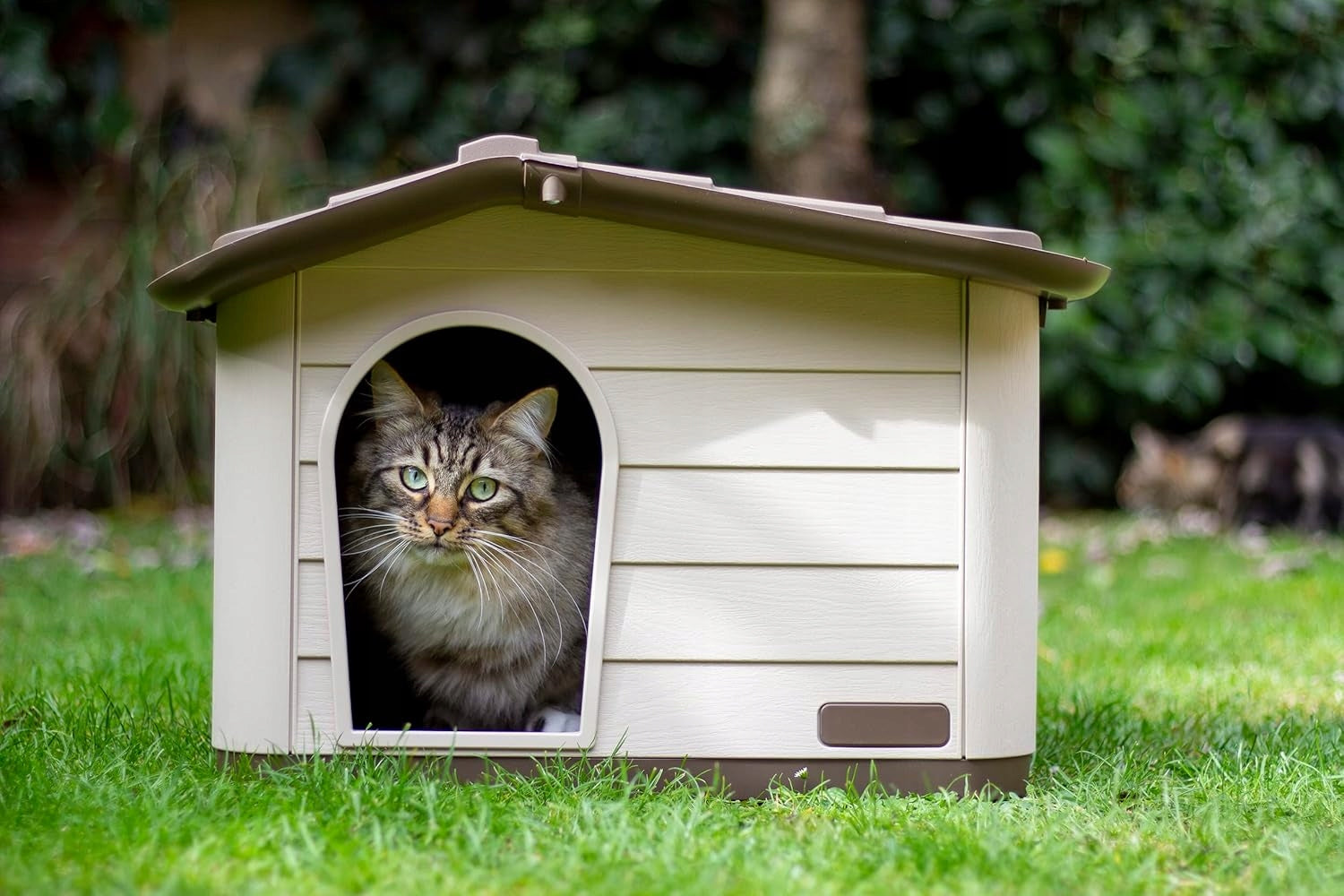 MP Bergamo Princess Rabbit Dog Cat Booth 41x51x59 cm Mocha Length 59 cm