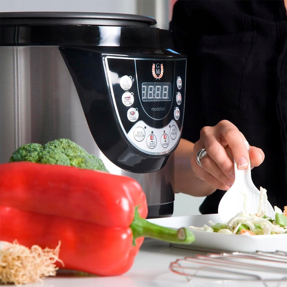 MULTICOOKER CECOTEC GM D+ 6L 1000W PROGRAMMABLE PRESSURE COOKER POT Brand no brand