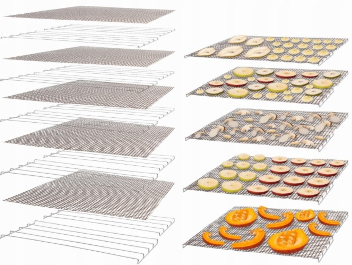 MUSHROOM DRYER FRUIT VEGETABLES HERBS MEAT STRONG UP TO 1200W 10 TRAYS v2.0 ! Brand no brand