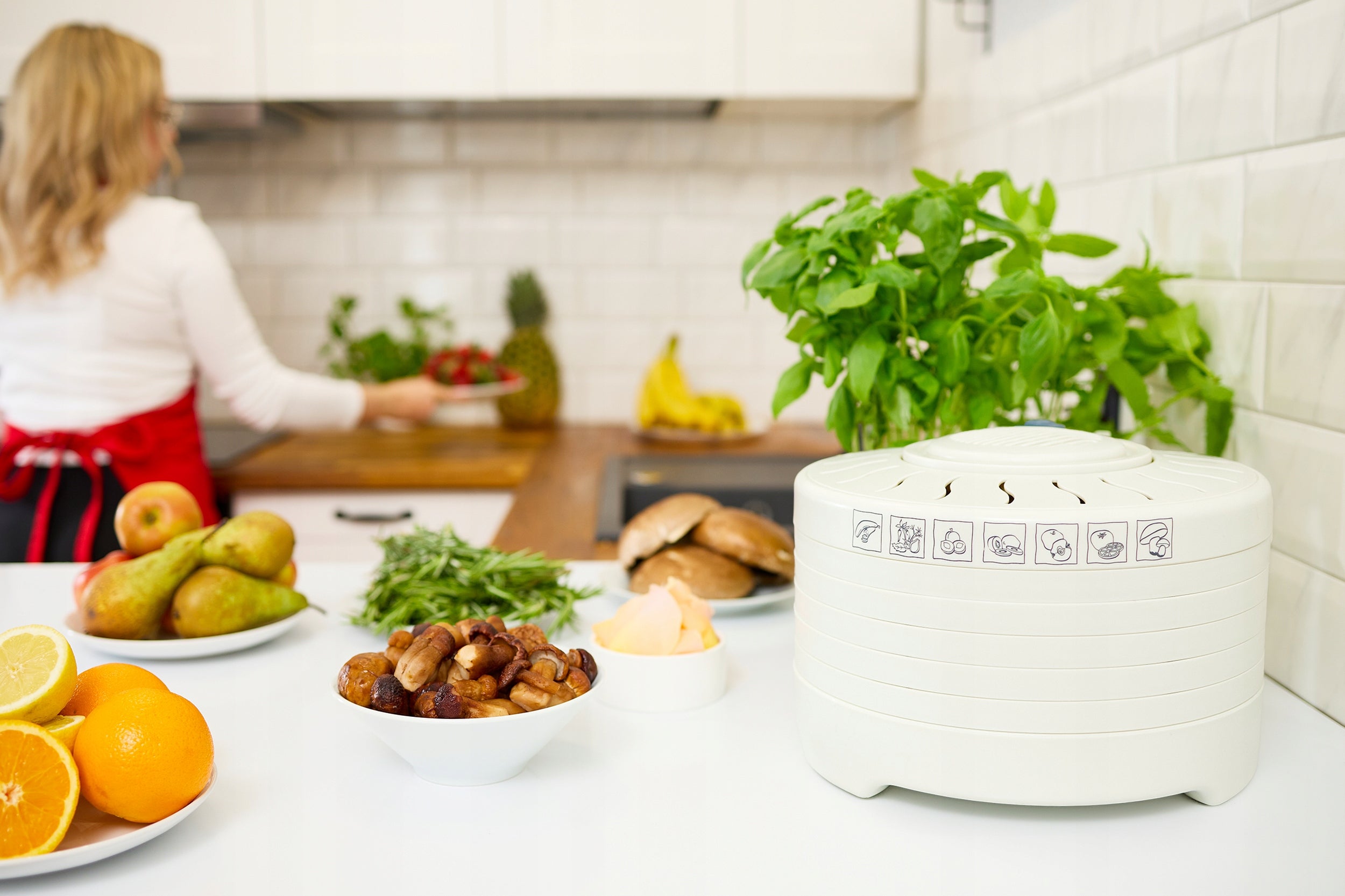MUSHROOM DRYER FRUIT VEGETABLES HERBS MPM MSG-01 5 SIT ADJUSTMENT STRONG Manufacturer code MSG-01