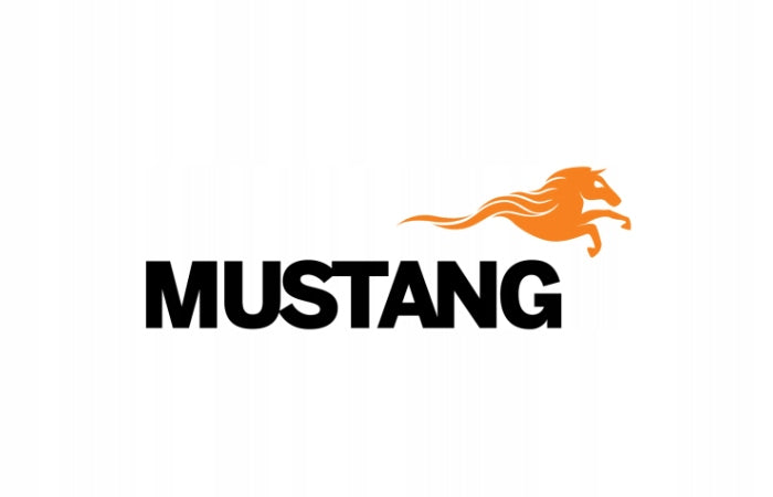MUSTANG OUTDOOR Nerezový skládací gril, cestovní, na uhlí + taška 325421 Grill depth 27 cm
