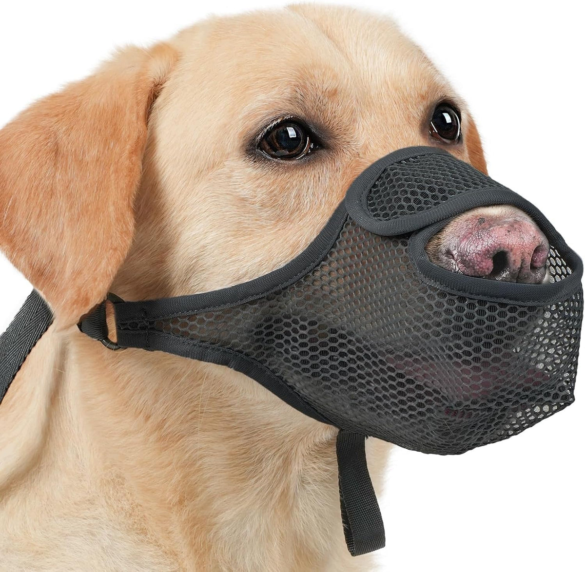 MUZZLE FOR DOG NET ADJUSTABLE L 24-28CM SOFT BREATHABLE