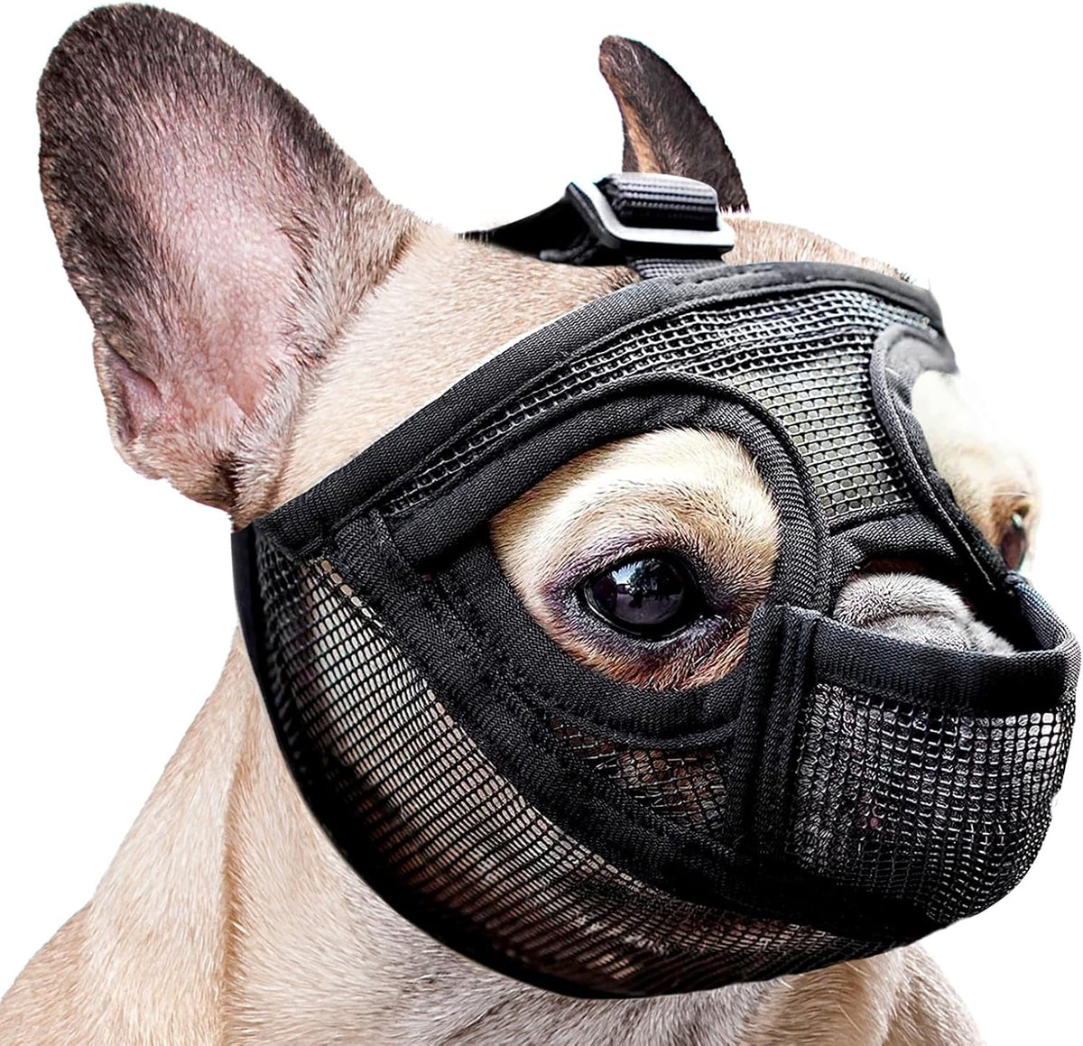 MUZZLE FOR FRENCH BULLDOG NET M BLACK