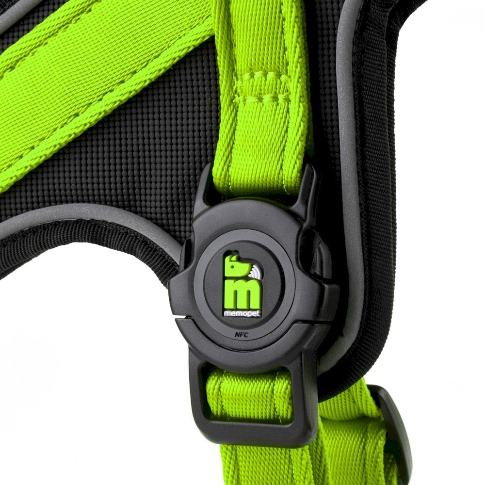 MY FAMILY Dog Harness Y Green S + Engraved Identifier FREEBIE Packaging status original