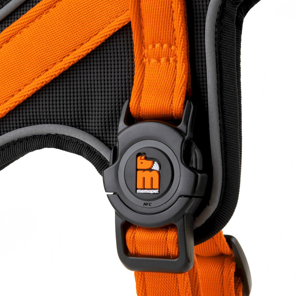 MY FAMILY Dog Harness Y XL + Engraved Identifier FREEBIE Packaging status original