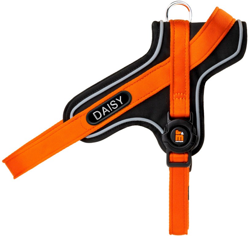 MY FAMILY Dog Harness Y XL + Engraved Identifier FREEBIE