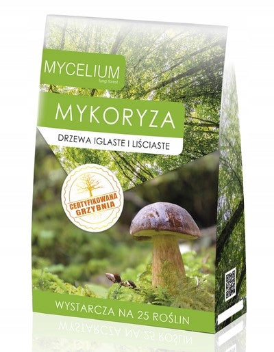 MYCORRHIZA live mycelium of coniferous and leafy trees