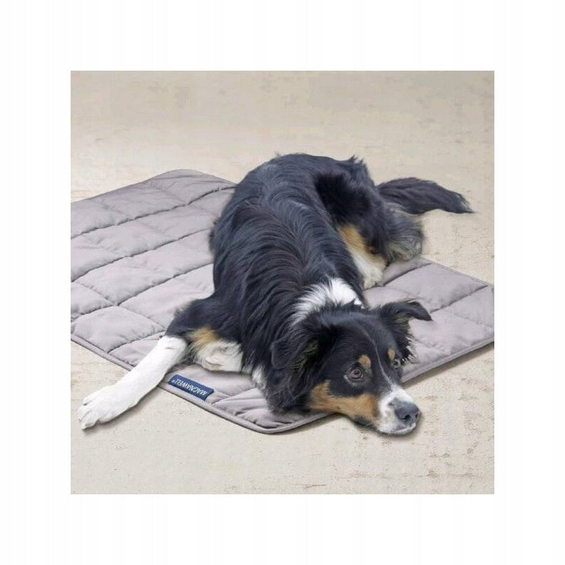Magnetic Mat Energetix Dog and Cat Bed Magnetic for Humans Kind mat