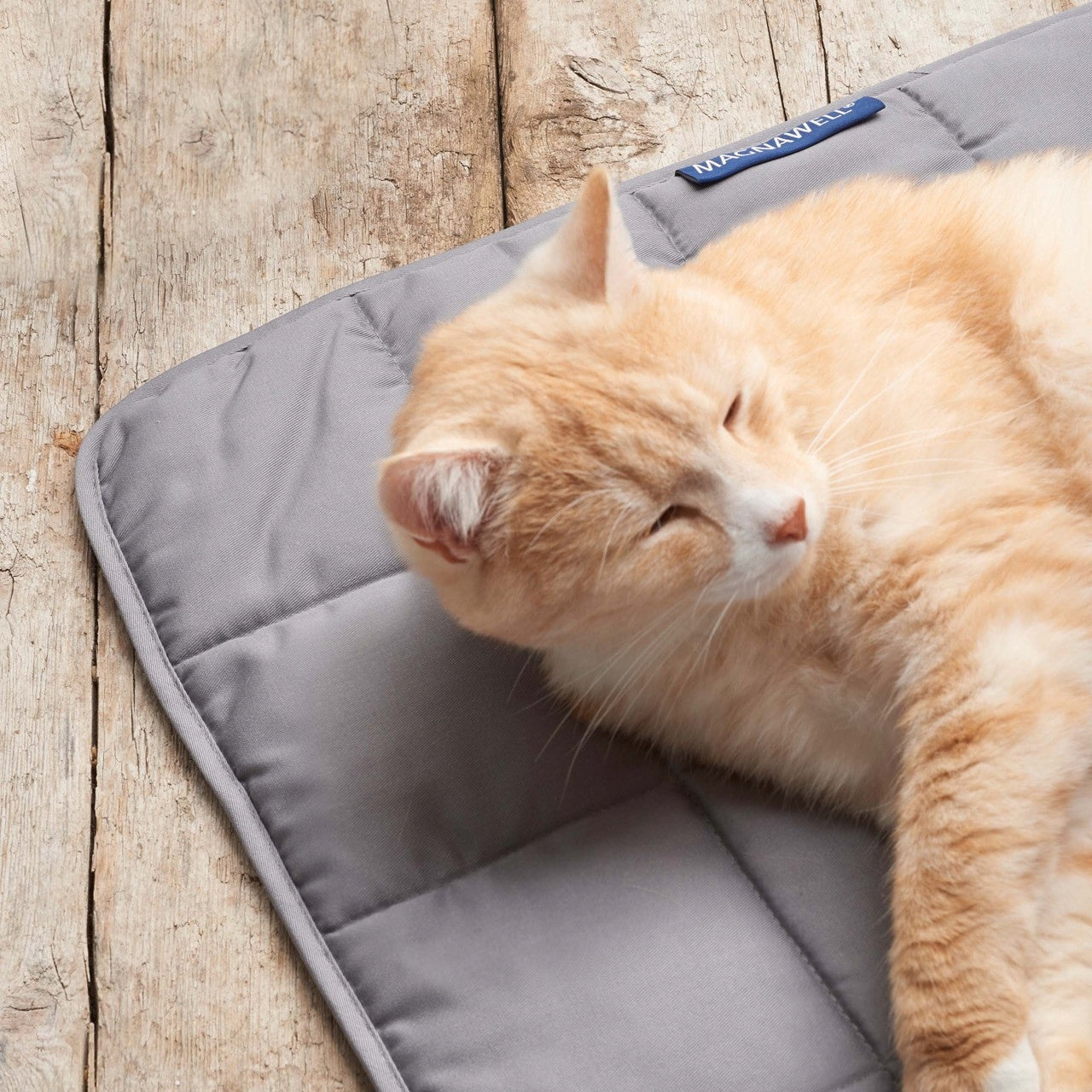 Magnetic Mat Energetix Dog and Cat Bed Magnetic for Humans Manufacturer code 4050