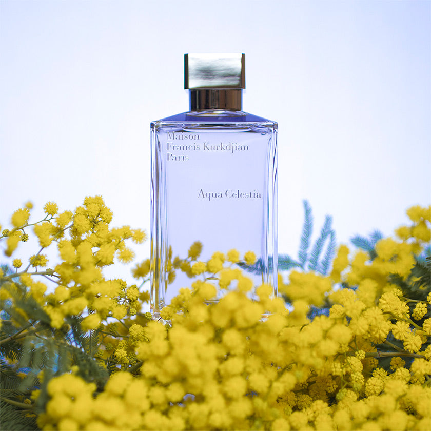 Maison Francis Kurkdijan Aqua Celestia EDT U 70 ml Line other