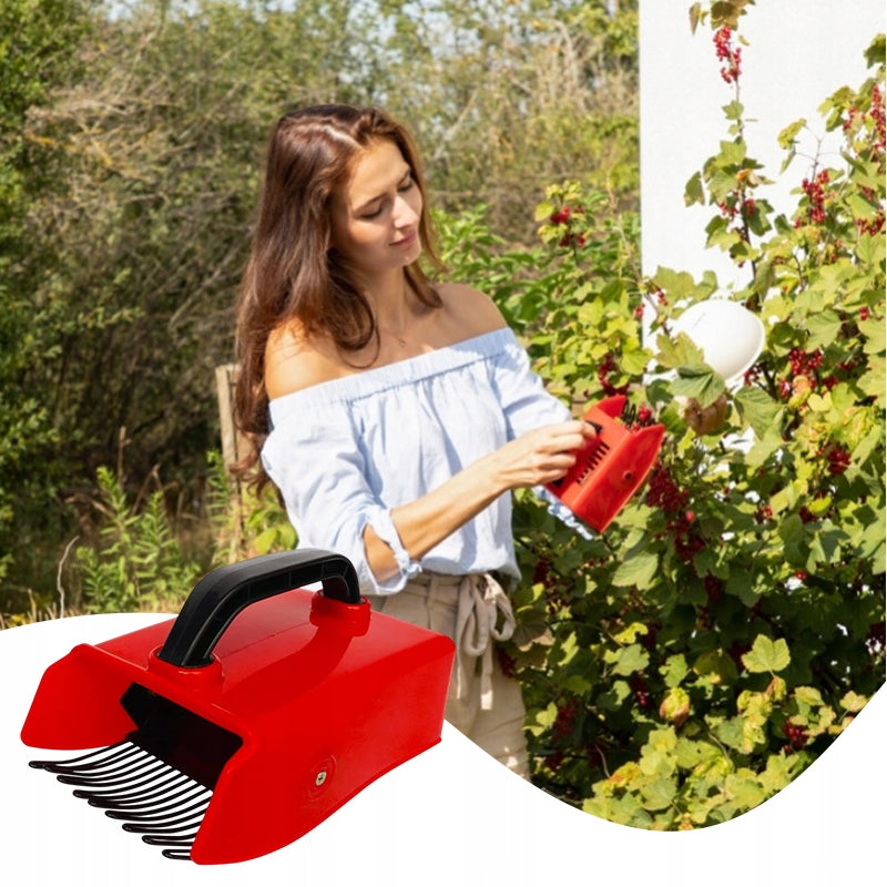 Manual Fruit Picker Blueberry Currants Forest Comb Type other