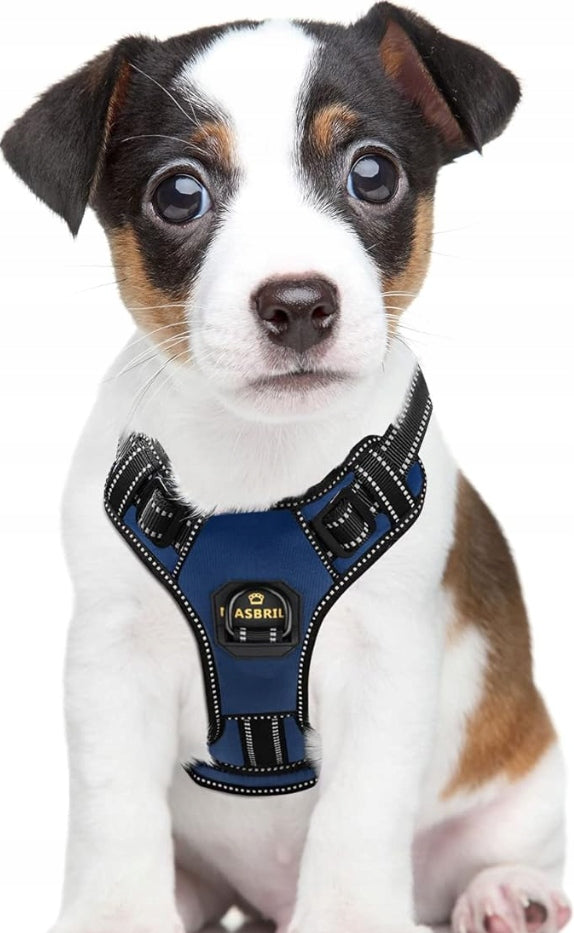Masbrill Adjustable Dog Harness – Harness with Reflectors, For Small Dog S