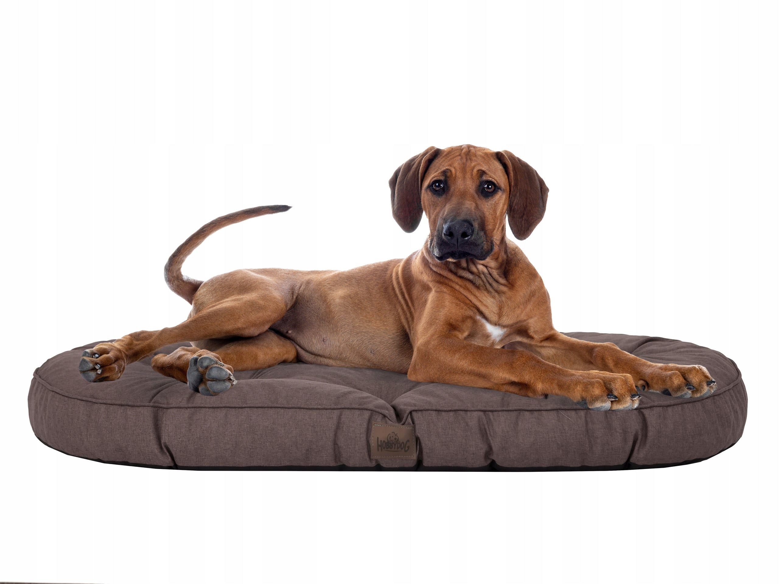 Hobbydog Haustiermatratze Shine Brown, L, 97x62 cm 