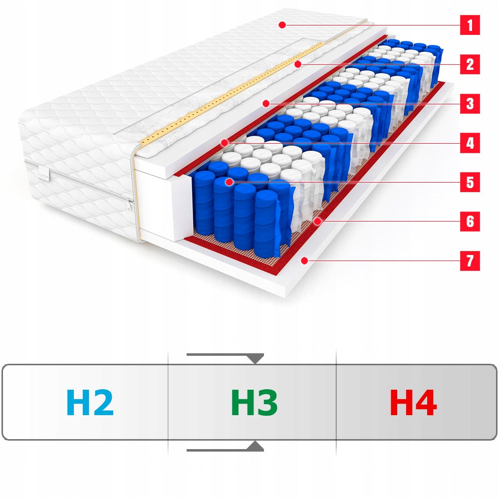 Mattress 160x200 CANADA MAX 9 zones - 24 cm EAN (GTIN) 0000194240060