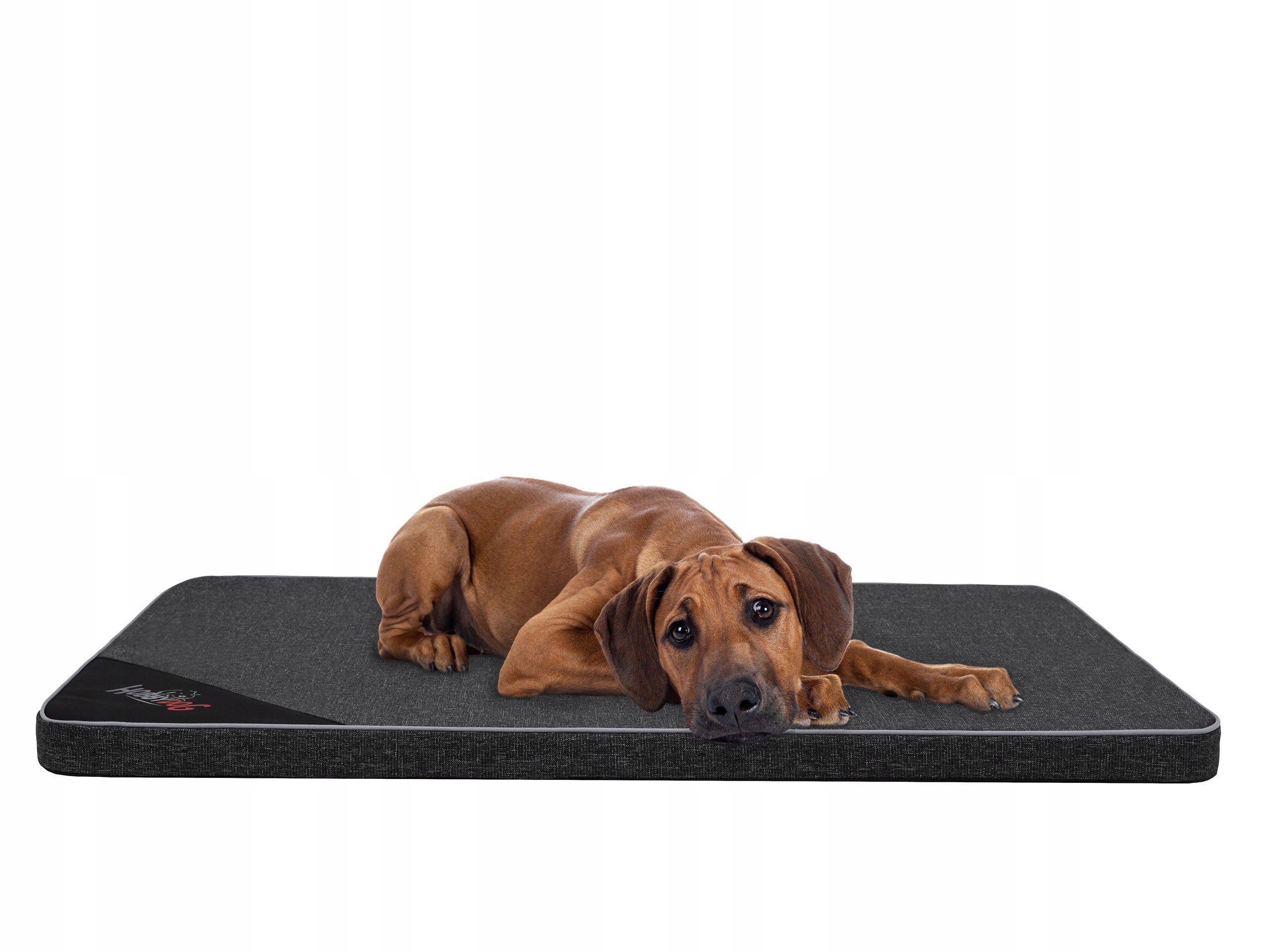 Mattress Light, Bed, couch Hobbydog L 100x67