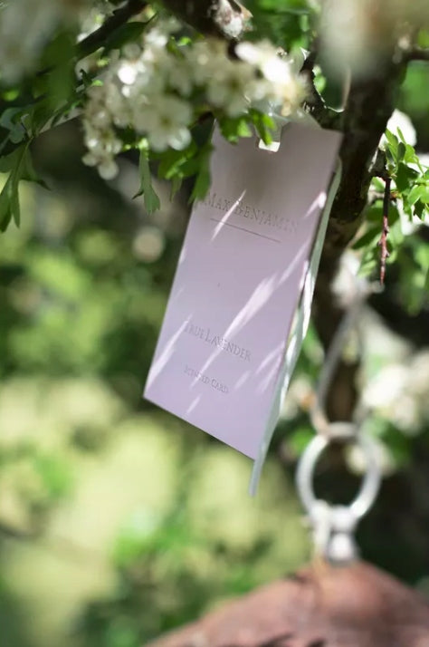 Aromatische Karte Max Benjamin True Lavender 