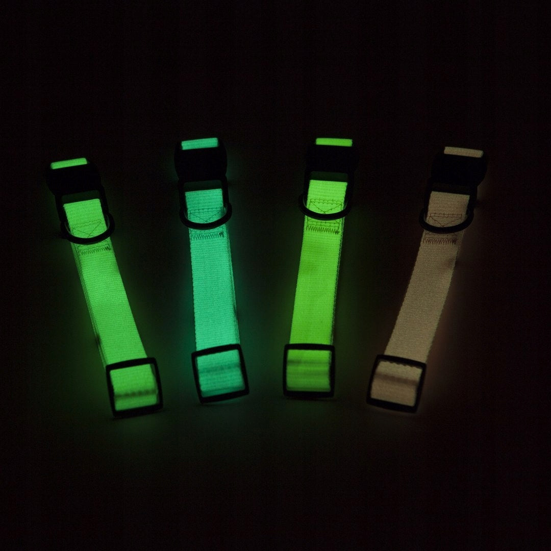 Max Glow Collar GLOWS IN THE DARK SMALL Packaging status original