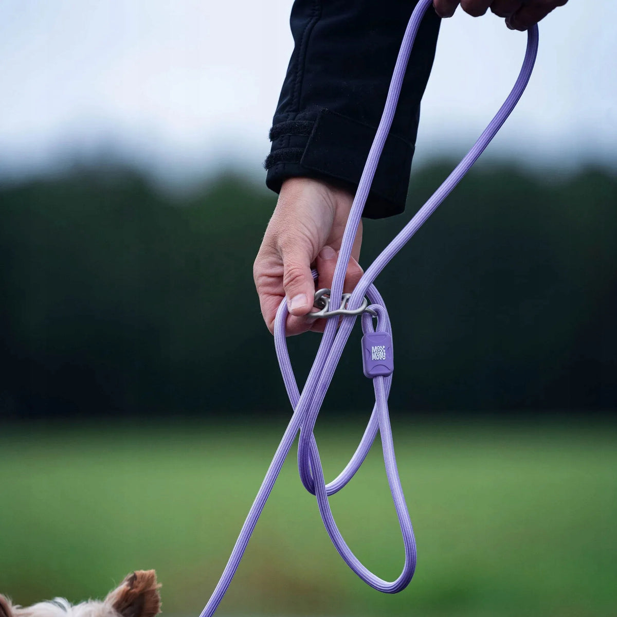 Max&Molly Matrix 2.0 2m Stone Retractable Rope Lanyard for Dog, Grey S Packaging status original