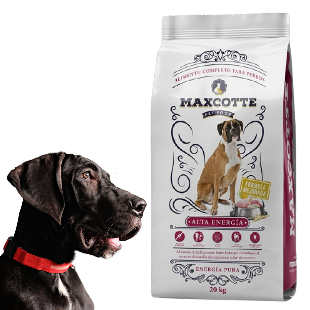Maxcotte Alta Energy for active 20kg Packaging status original