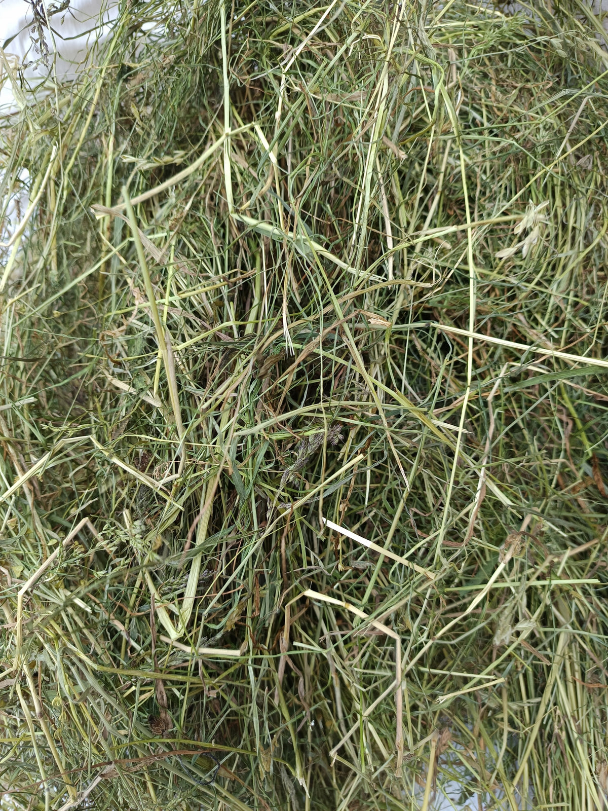 Meadow Hay 500g Animal Herbal Feed