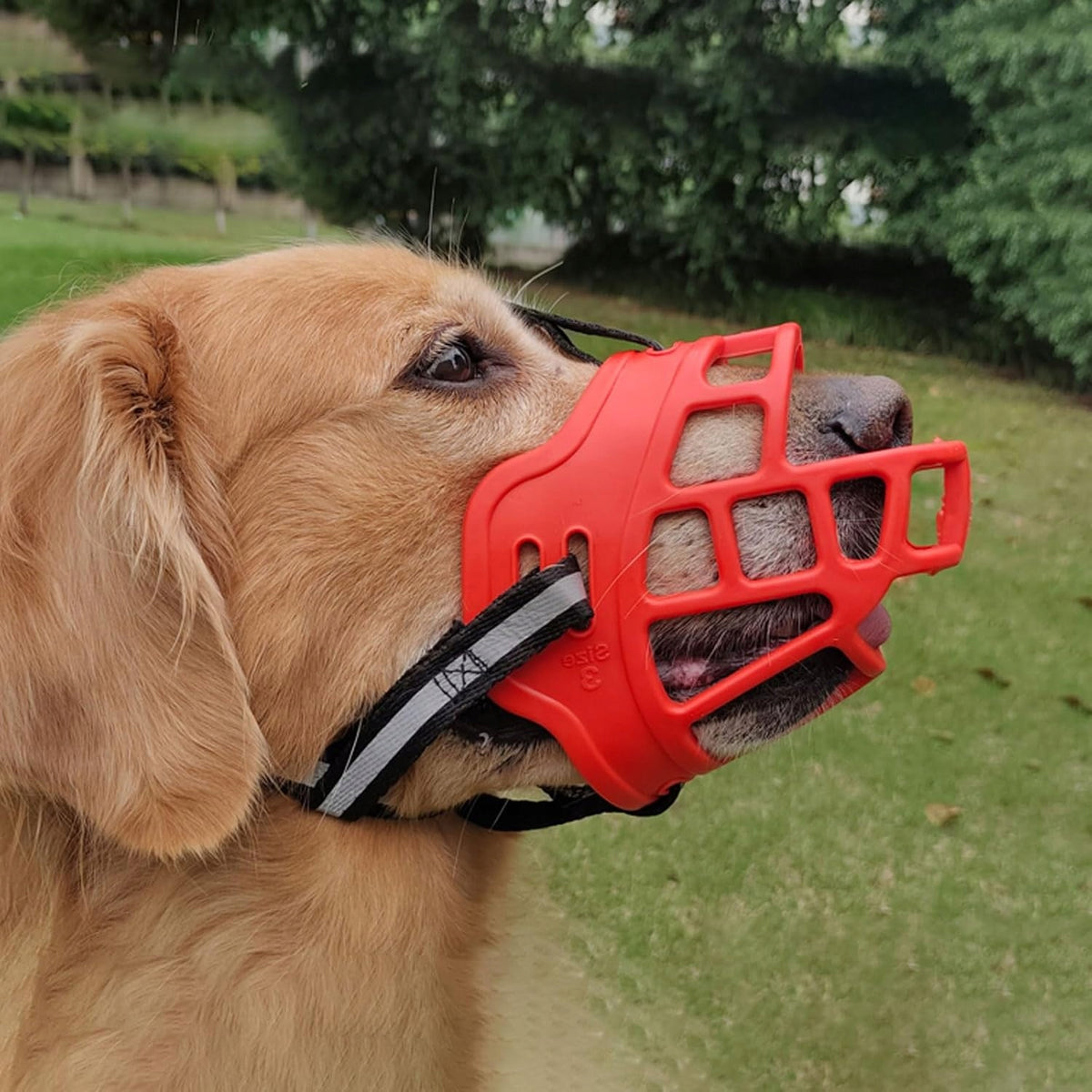 Medium Dog muzzle, Plastic muzzle, Regulation muzzle