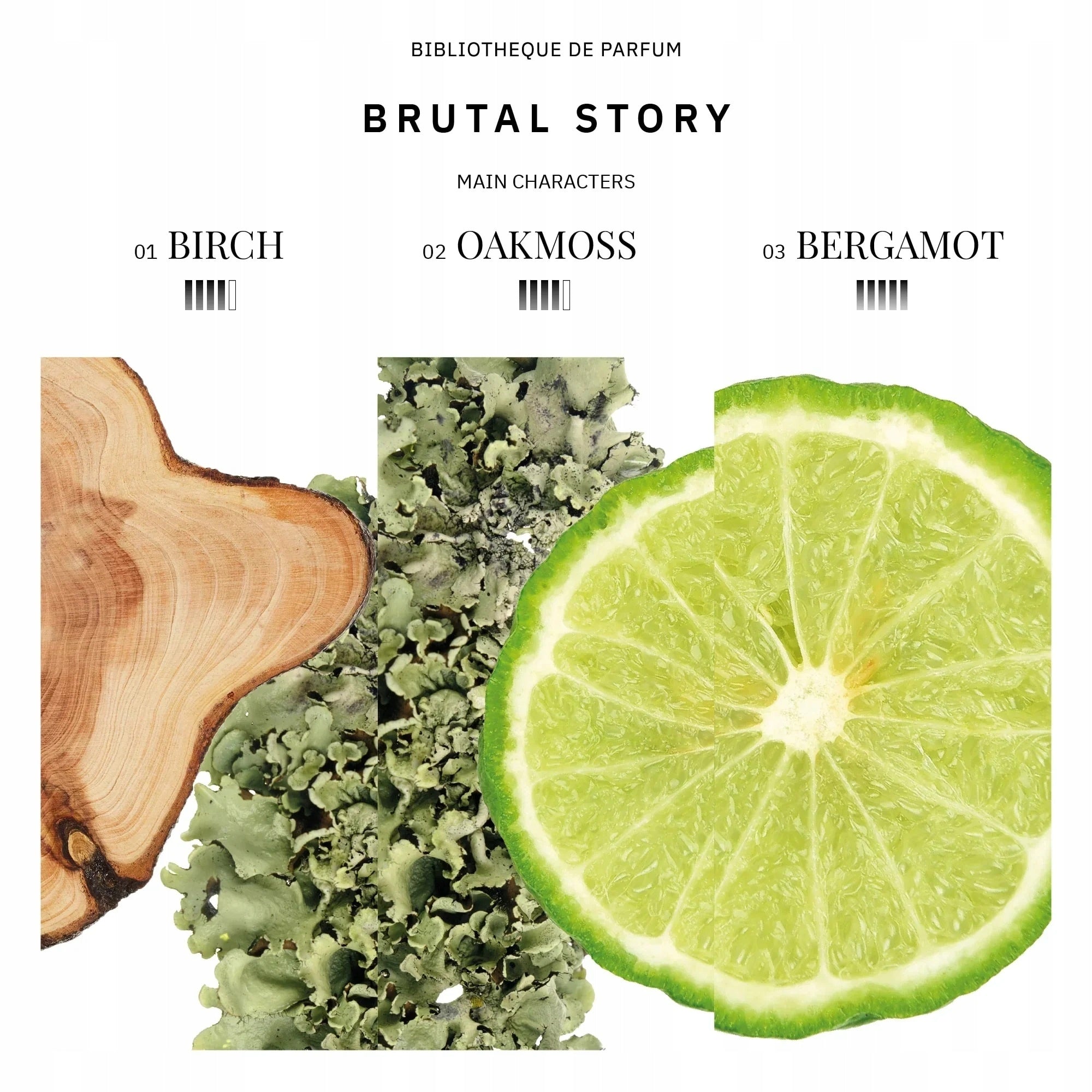 Men's Bibliotheque de Parfum "BRUTAL STORY" 2 ml Brand Bibliotheque de Parfum