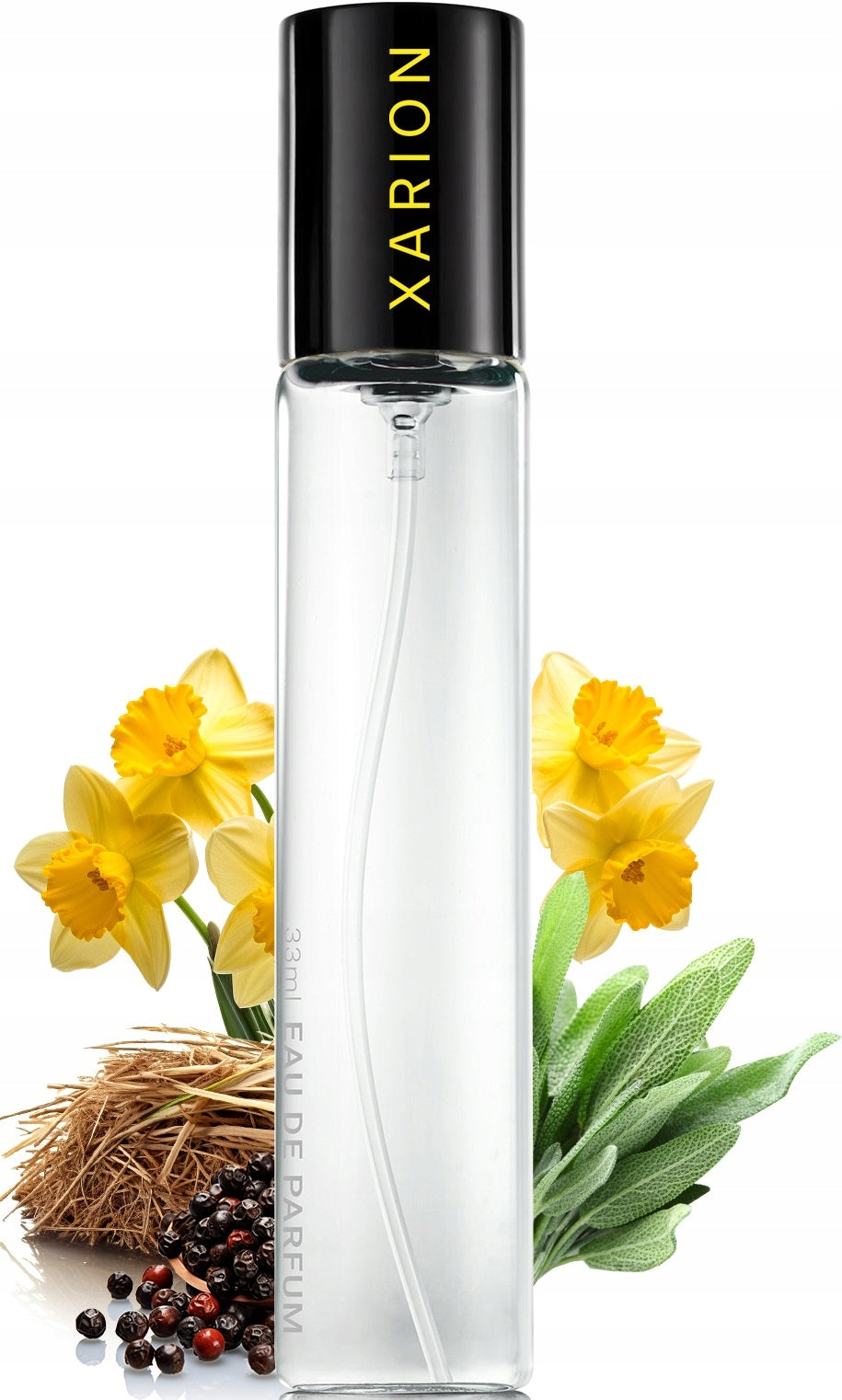 Men's Perfume Neness Xarion Perfumed Water 33 ml No. 290
