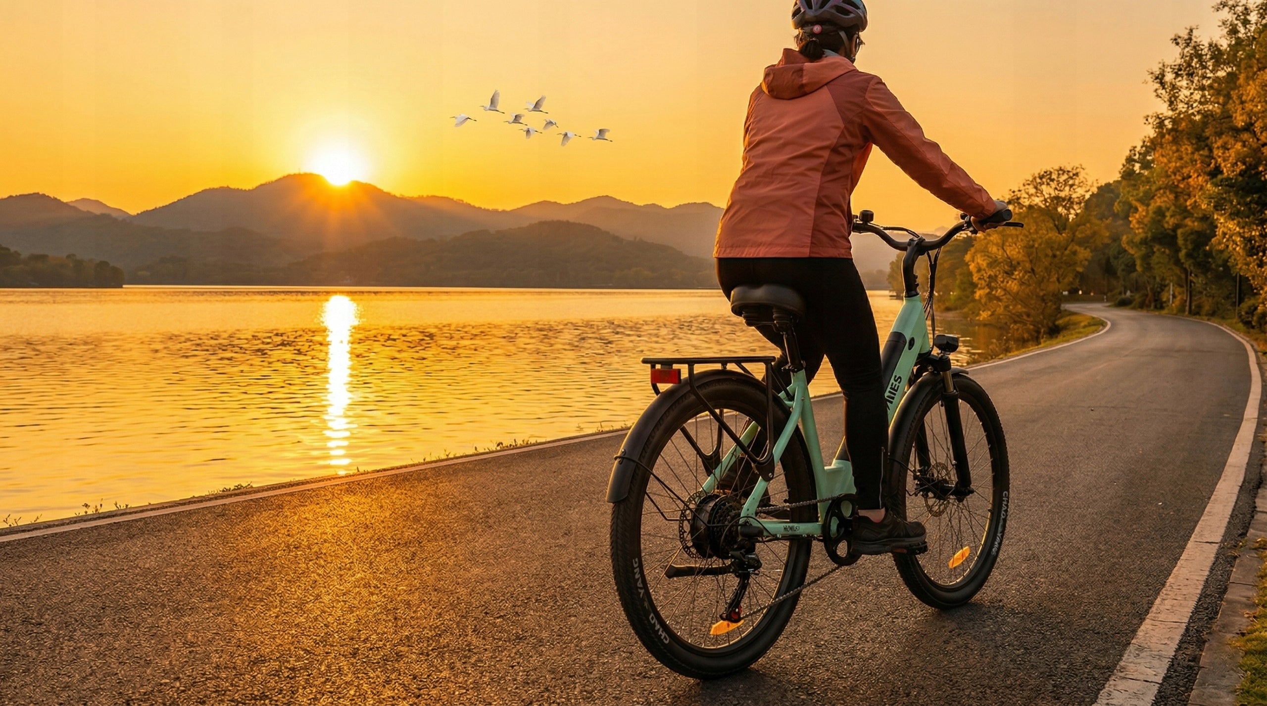 Men's/Women's Electric Bike HillMiles Milecity 1 250W 13AH 25KM/h 100KM Frame size L