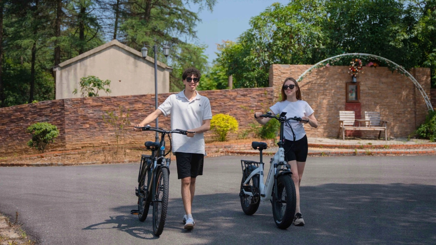 Men's/Women's Electric Bike TTGO M300 250W 36V 20AH 100HP 27,5'' Brand TTGO