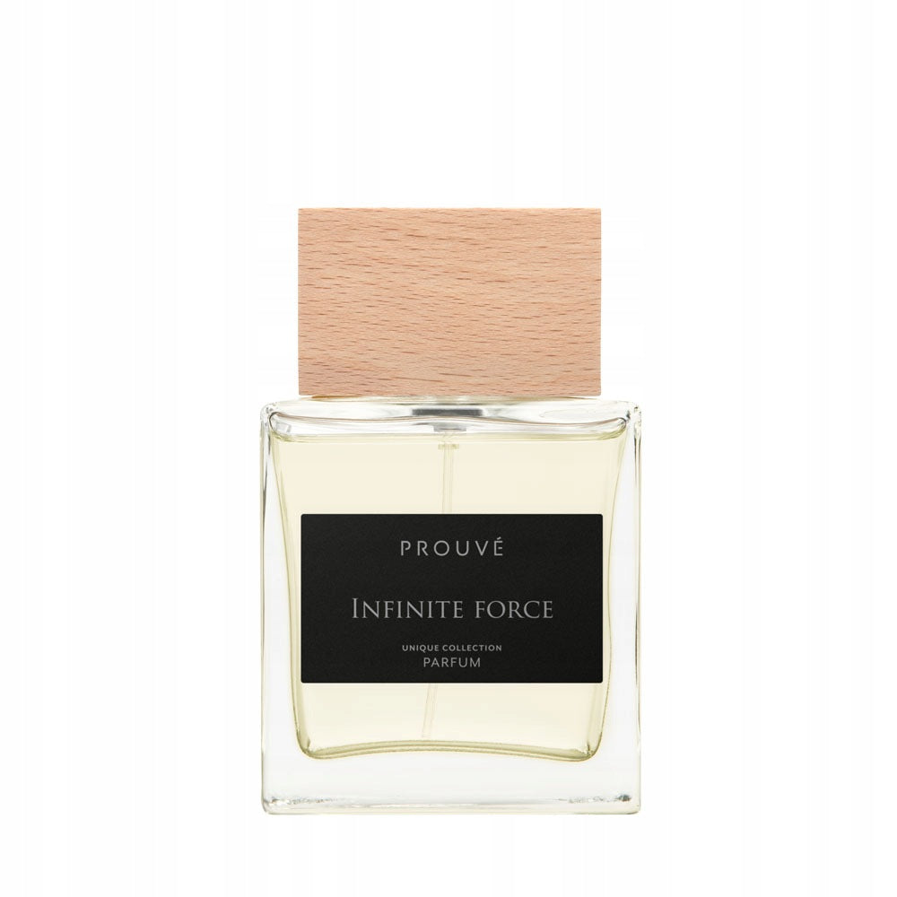 Men's perfume PROUVE INFINITY FORCE 100 ml - inspired + perfume list
