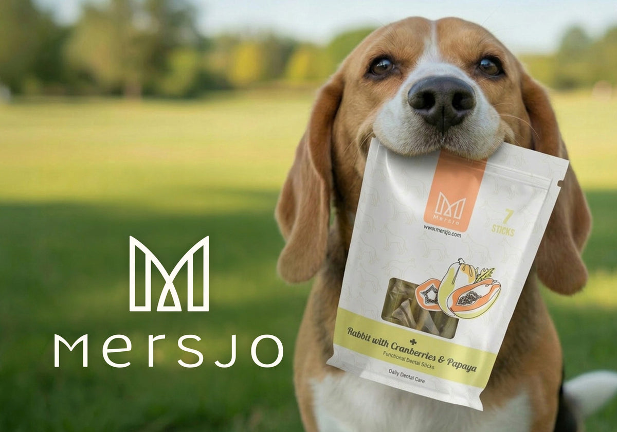 Mersjo Dental Sticks Dog Treat Rabbit Algae Cranberry Papaya 7 Pieces Packaging status original