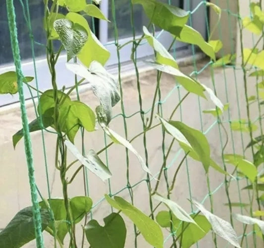 Mesh - plant support 2x10m Gardlov 23978 Shape rectangular