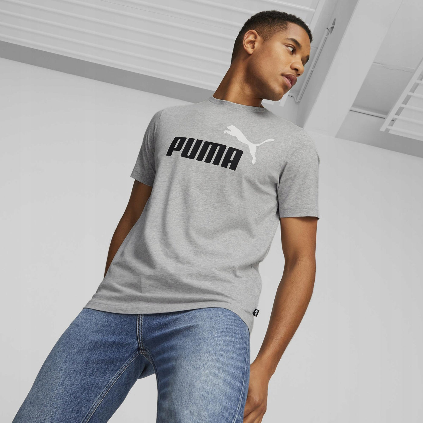 Puma Herren T-Shirt 77314, grau 