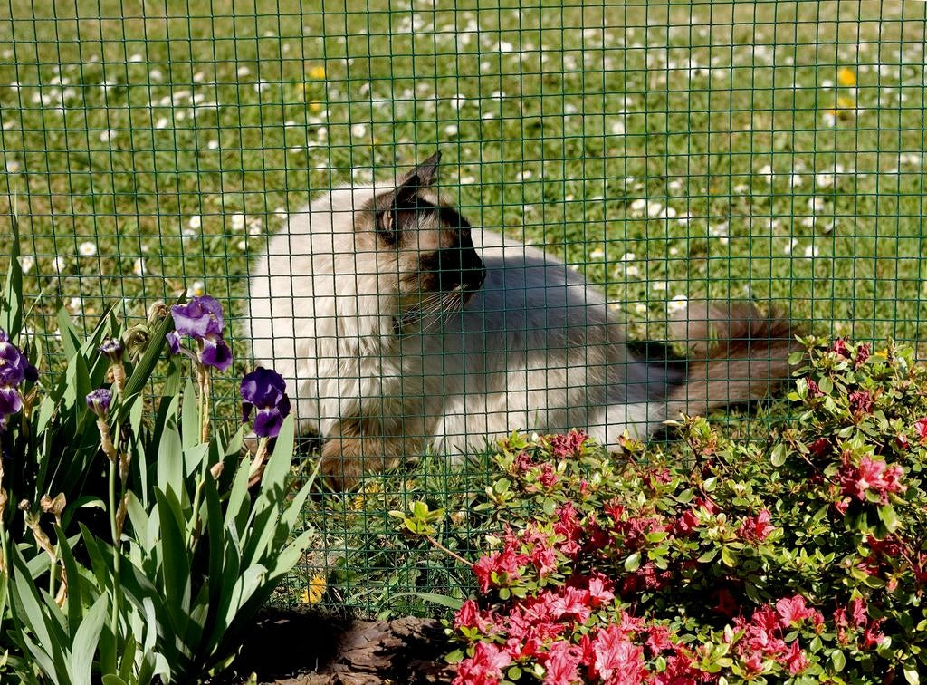 Metal Mesh Coated Welded 1x5m Garden Discount Breeding 6x6mm Manufacturer Nortene