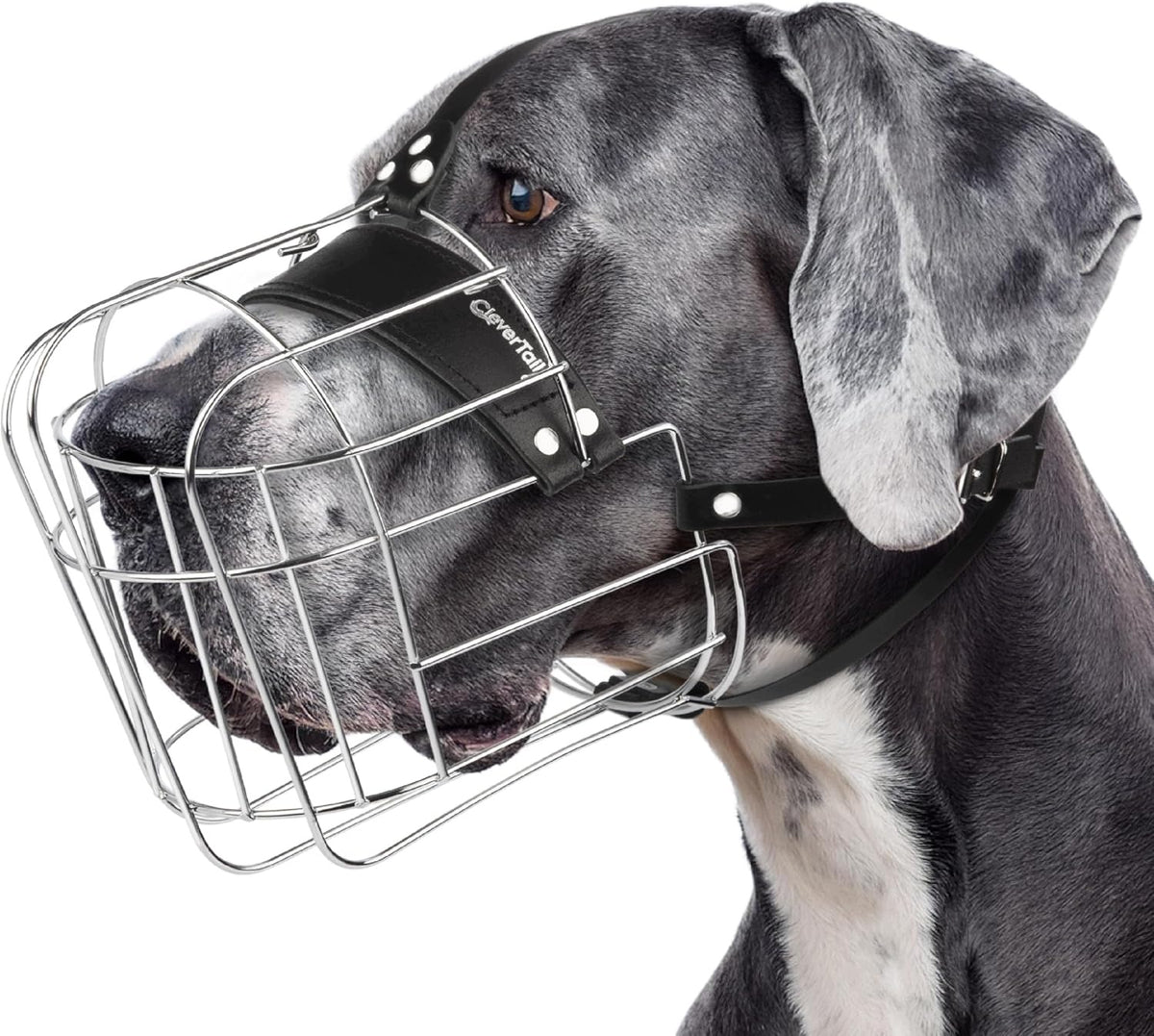 Metal muzzle Basket XXL Leather Straps Adjustable Genuine Leather Manufacturer code XXLD1