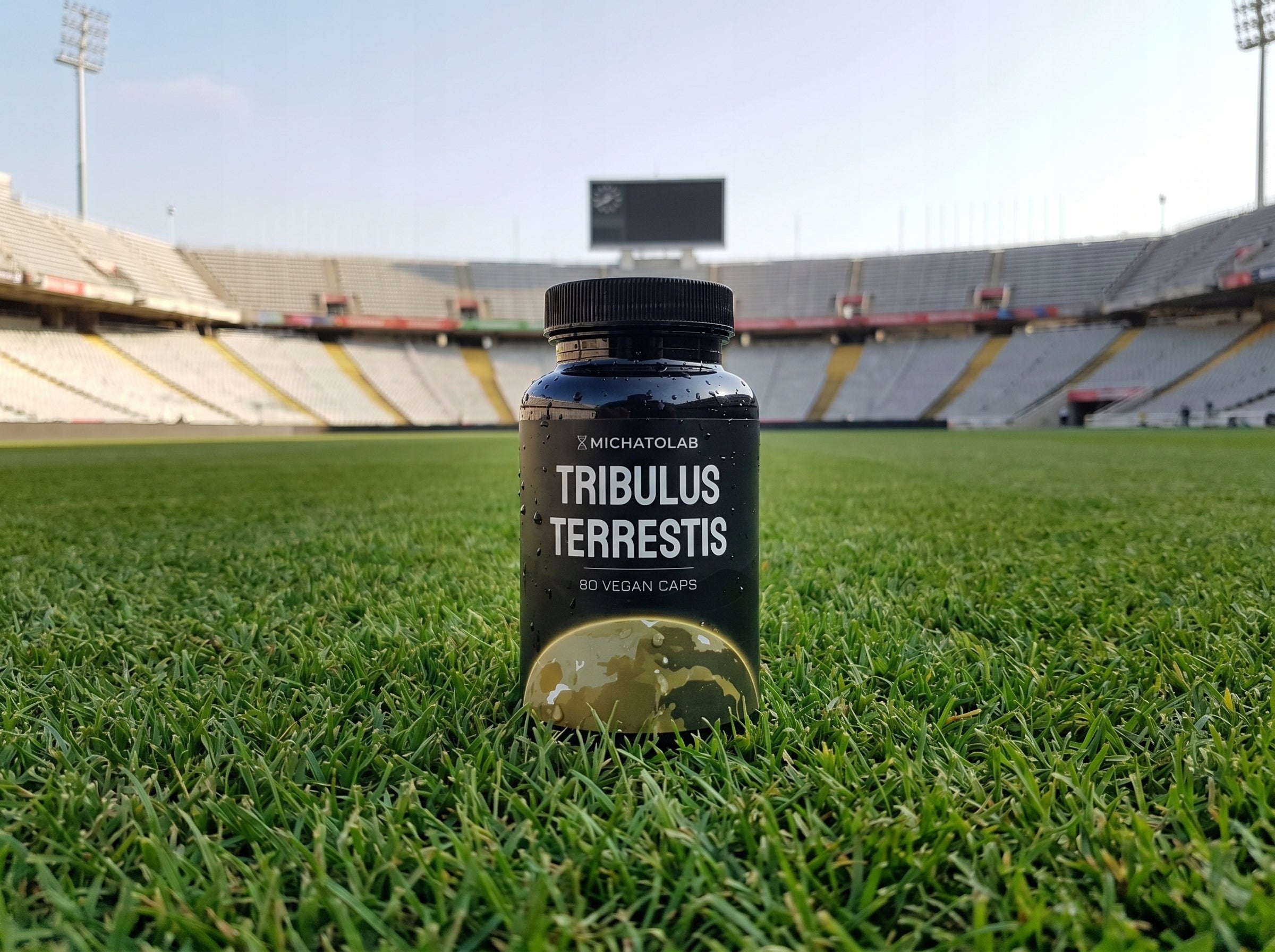 MichatoLab Tribulus 90% Saponinů 60 kapslí | Testosteron Síla Expiration date at least 1 year from the date of purchase