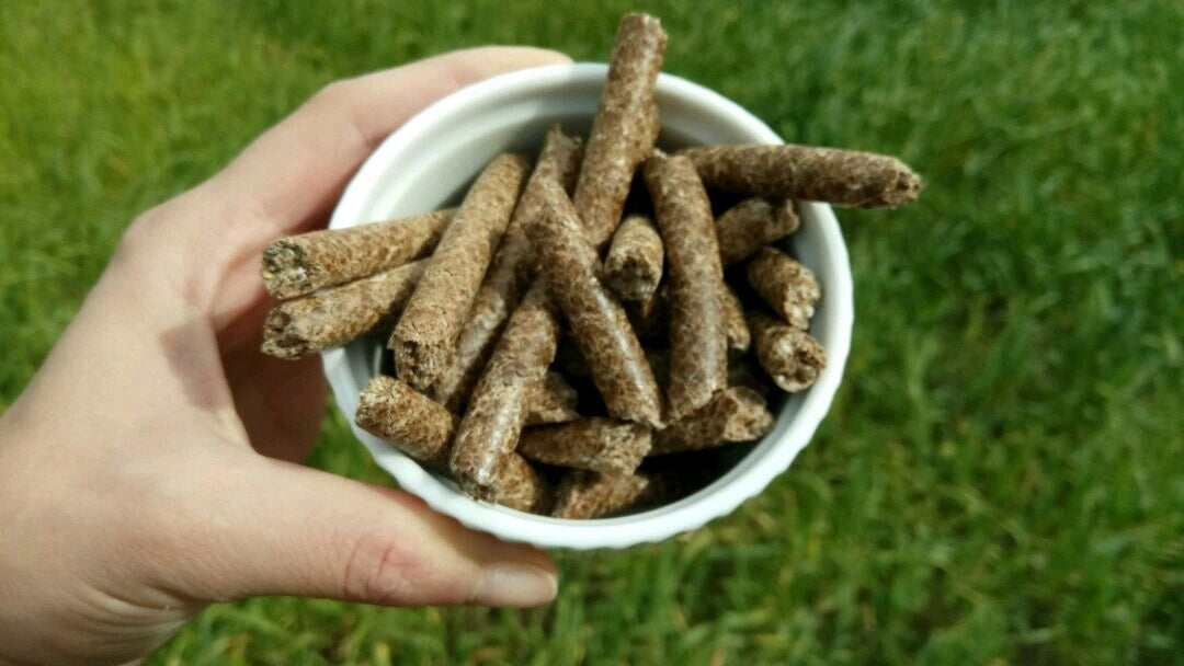 Milk thistle chews 100% 100g SuperFoods