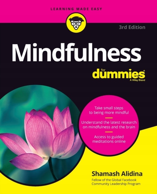 Mindfulness For Dummies, 3rd Edition