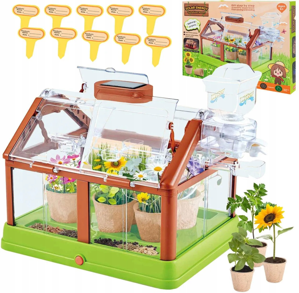 Mini Greenhouse DIY Plant Growing Kit Kids Educational Garden Flowers