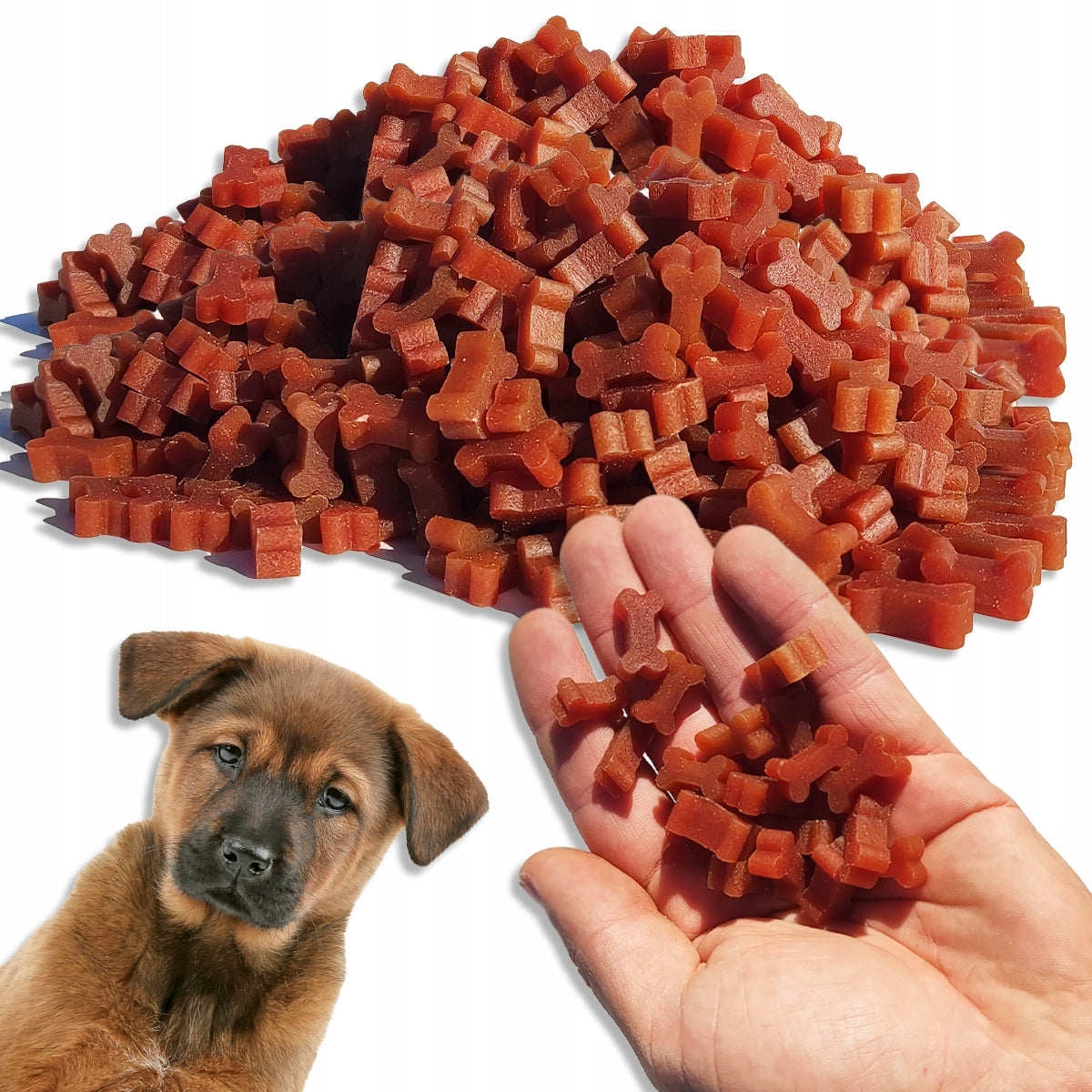 Mini TRAINING Cubes with DUCK 500 g DOG TREAT