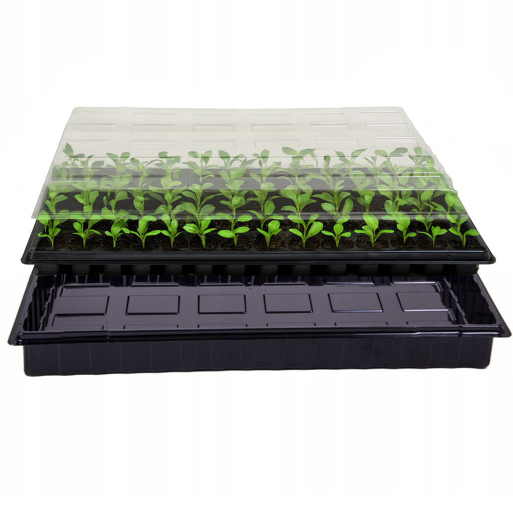 Mini greenhouse for germination sowing and seedling kit 84 cells inspection